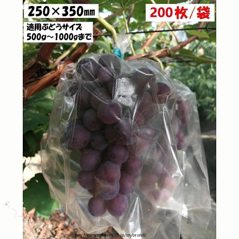 全透明微孔フィルム袋 ブドウ日光カバー袋 果物野菜ラップ袋 ブドウラップ袋 鳥や蚊の侵入を防ぐ 25*35mm 200枚/袋 ブドウラップ袋 25*35mm 200枚/袋 この果実袋は、特殊な製法により　1m2あたり約175,000個の微孔（約0.13mm）を施したポリプロピレンフィルム果実袋です。透明フィルム＋高密度ポリエチレン（乳白色）使用の為、袋の外より栽培状況が1目で確認できます。又害虫被害の軽減に威力を発揮。●ぶどう、梨　などに使用●袋の中で空気が動く⇒蒸れ防止効果●防虫と袋内発生虫⇒飛散防止効果●防鳥効果に実績⇒光乱反射効果●袋内丸見えで管理容易⇒透明効果サイズ:長さ約35cm、幅約25cm 6 【原産国／製造国: 中国】 .全透明 微孔フィルム袋 ブドウ日光カバー袋 果物野菜ラップ袋 ブドウラップ袋 鳥や蚊の侵入を防ぐ 25*35mm 200枚/袋。防虫、防鳥、農業資材として最適。果実袋や日よけ袋として通気性と防水性を兼ね備え、農園や家庭菜園での果物や野菜の保護におすすめ。園芸資材や農作業用として使いやすく、収穫時の品質維持に役立ちます。。 指定された配送時間は承っておりません。【もっと商店】
