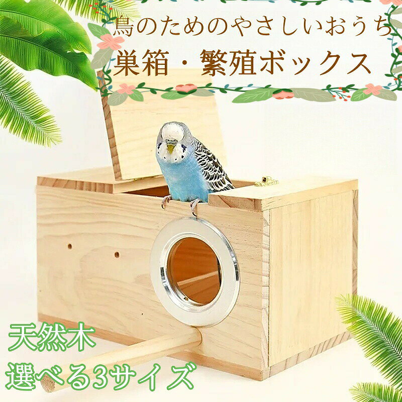【環境に優しい素材】耐久性のある天然松で作られ、過酷な屋外条件に耐えるように設計されたこの鳥の巣箱は、鳥にとって一年中快適です。 【絶妙な職人技】精密に作られたこの鳥の巣箱は、滑らかで磨かれたエッジと金属リングを備えており、羽の生えた友人が安全に安心して過ごせるようにします。 【便利な設置】当社の鳥の巣箱には完全な設置アクセサリーが装備されており、貴重な時間と労力を節約する便利なセットアップが可能です。 【メンテナンスが簡単】鳥にとってより健康的な生活環境を作り出す当社の巣箱には、メンテナンスが容易なトップカバーが付いており、清潔で衛生的な生息地を確保します。【環境に優しい素材】耐久性のある天然松で作られ、過酷な屋外条件に耐えるように設計されたこの鳥の巣箱は、鳥にとって一年中快適です。 【絶妙な職人技】精密に作られたこの鳥の巣箱は、滑らかで磨かれたエッジと金属リングを備えており、羽の生えた友人が安全に安心して過ごせるようにします。 【便利な設置】当社の鳥の巣箱には完全な設置アクセサリーが装備されており、貴重な時間と労力を節約する便利なセットアップが可能です。 【メンテナンスが簡単】鳥にとってより健康的な生活環境を作り出す当社の巣箱には、メンテナンスが容易なトップカバーが付いており、清潔で衛生的な生息地を確保します。