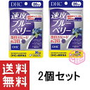 DHC 速攻ブルーベリー 20日分 2個セット TKG140 34g 30日分 よりお得 ブルーベリー サプリメント dhc サプリ 女性 ルテイン 男性 クロセチン 目 目のサプリメント 目のサプリ ビルベリー アントシアニン ルティン 健康食品 アサイー ビタミンb ブルーベリーサプリ