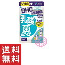 DHC 乳酸菌EC-12 20日分 TKG80 8g dhc ビフィズス菌 善玉菌 乳酸菌 酵母 ヨーグルト サプリメント サプリ 健康 食事 美容 女性 ラクチュロース ストレス 胃腸 腸内環境 肌 大腸 ディーエイチシー 健康食品