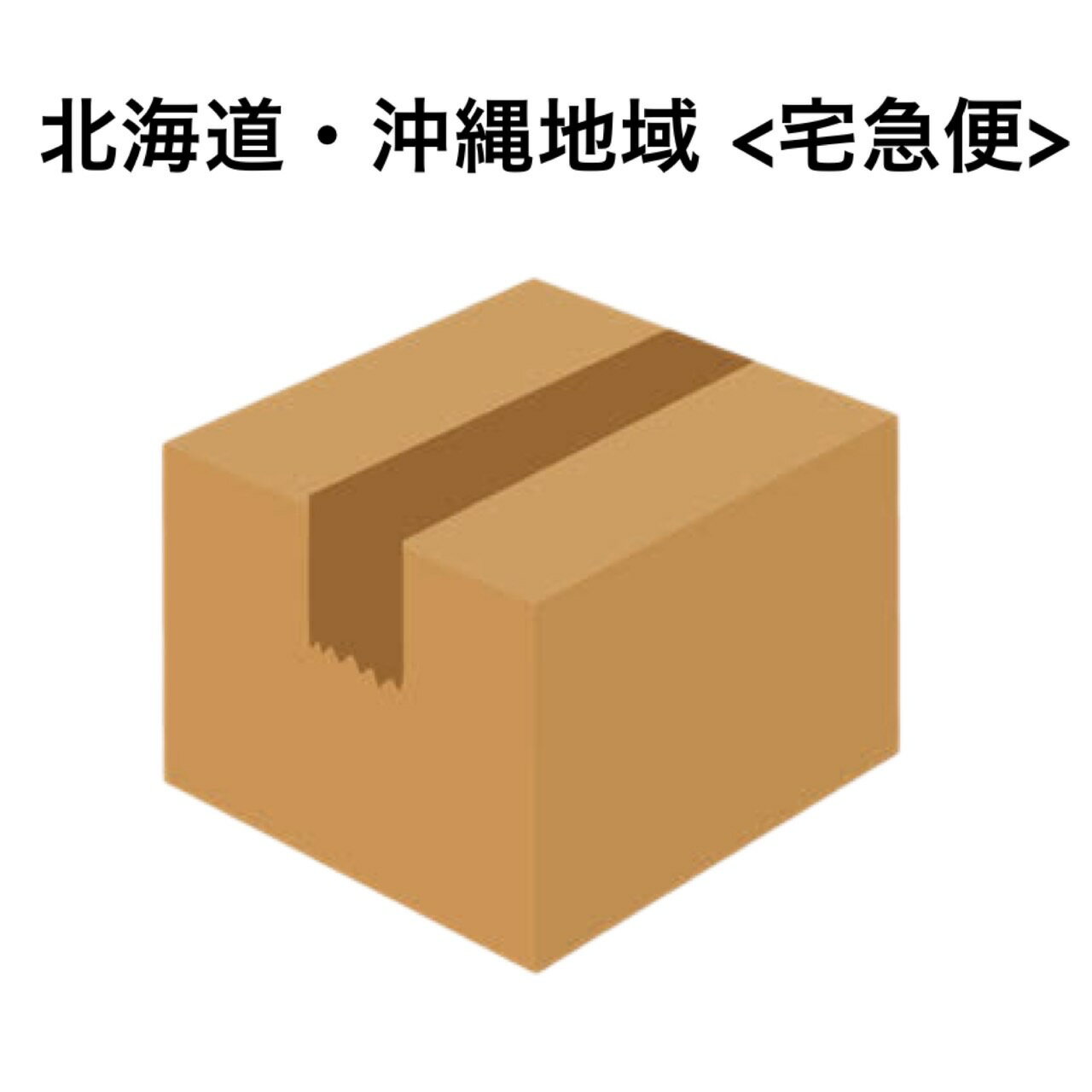 北海道 沖縄地域 ダンボール 発送 宅急便 送料