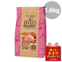 セレクトバランス グレインフリー 猫キトン チキン 小粒 1.6kg ～12ヶ月の子猫・母猫用 SELECT BALANCE キャットフード 猫用ドライフード合成保存料無添加