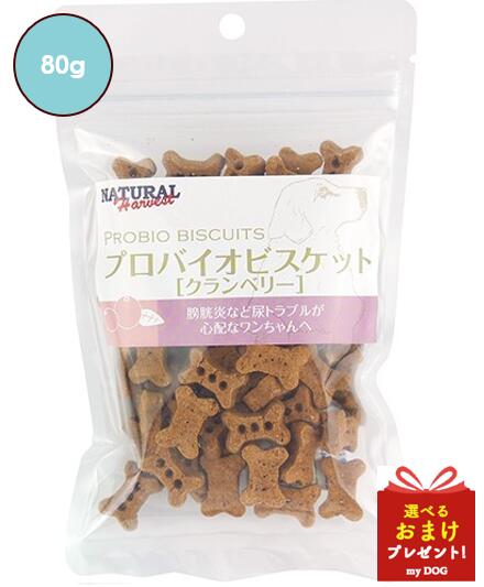 ペッツルート おからクッキー プレーン 40g