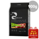 リガロ ハイプロテインレシピ シニア ラム 7歳以上 900g RIGALO ドッグフード 犬用 ドライフード 穀物不使用 グレインフリー