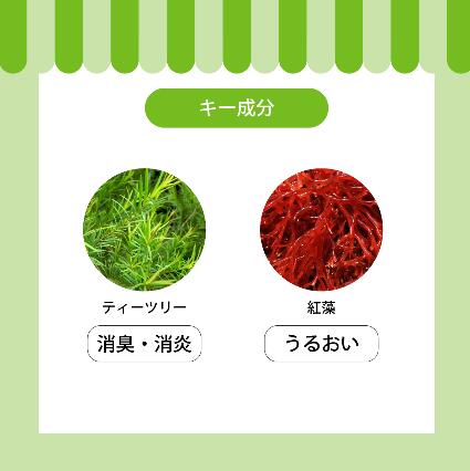 APDC���ƥ����ĥ꡼����ǥ�����ʡ���500ml�����ѥ���ǥ�����ʡ���ǭ�ѡ������