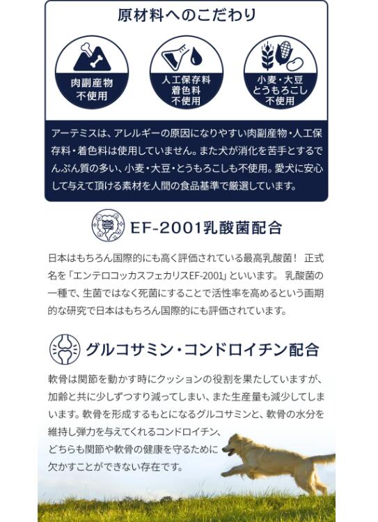 �����ƥߥ��������ꥯ�������ߥ塼�󥵥ݡ��ȡ���γ��3kg���ɥå��ա��ɡ����ѡ��ɥ饤�ա���