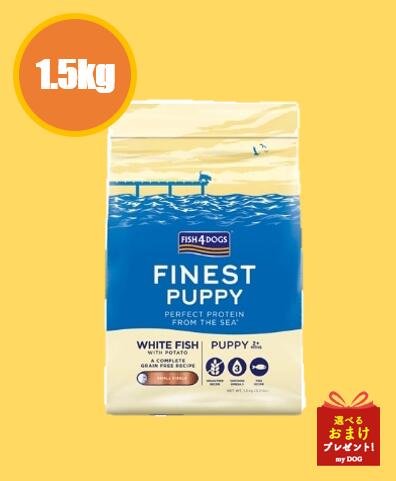 フィッシュ4コンプリートパピー1....