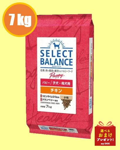 セレクトバランス　パピー　チキン　小粒　　7kg　　ドッグフード　犬用　ドライフード