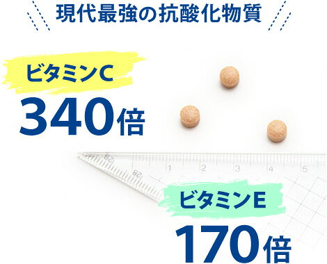 パンフェノン　120粒　サプリ　サプリメント　犬用　猫用 mydog-10002683 myDOG楽天市場店 サンプル画像2