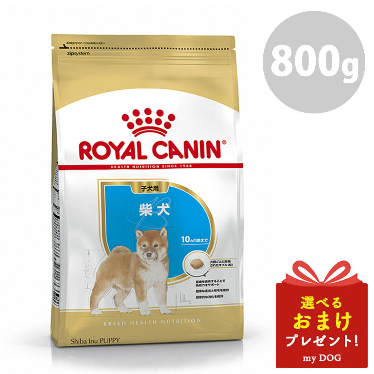 ロイヤルカナン 柴犬 専用フード 子犬用 800g ROYAL CANIN ブリード ヘルス ニュートリション ドッグフード ペットフード 犬 犬用 子犬 小型犬 成長期 粒 ドライフード 美味しい 総合栄養食 健康 餌 ご飯 ペットドッグ EPA DHA ルリチシャ油 L.I.P 生後10カ月齢まで【99】