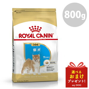 ロイヤルカナン 柴犬 専用フード 子犬用 800g ROYAL CANIN ブリード ヘルス ニュートリション ドッグフード ペットフード 犬 犬用 子犬 小型犬 成長期 粒 ドライフード 美味しい 総合栄養食 健康 餌 ご飯 ペットドッグ EPA DHA ルリチシャ油 L.I.P 生後10カ月齢まで【99】