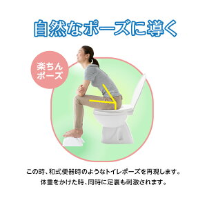 排便便秘トイレ足置き足つぼ座り姿勢ギフトプレゼントPROIDEAプロイデアCho-an真野先生の快調トイレ足置き)
