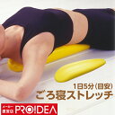 ダイエット器具 ダイエット 効果 ストレッチ ポール ながらダイエット 首 肩 肩甲骨 ギフト プレゼント ( 背中バランスダイエット ) 送料無料 セール PROIDEA プロイデア ドリーム