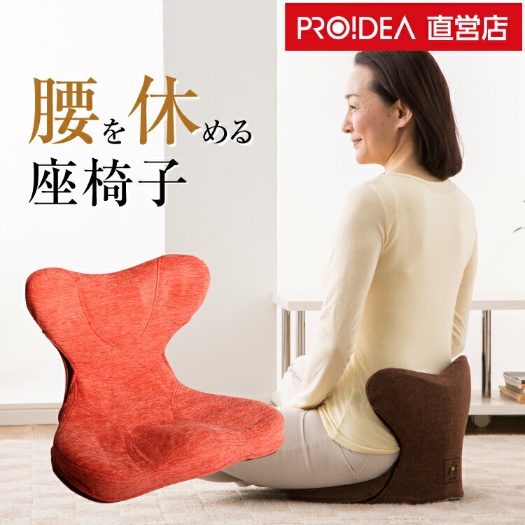 骨盤矯正 椅子 腰ケア用品 座椅子 腰痛 姿勢 骨盤 ゆがみ 矯正 グッズ 座椅子 ぴったり フィット オフィス イス テレワーク 在宅勤務 父の日 ギフト プレゼント( 馬具マットプレミアムEX ) 送料無料 PROIDEA プロイデア ドリーム