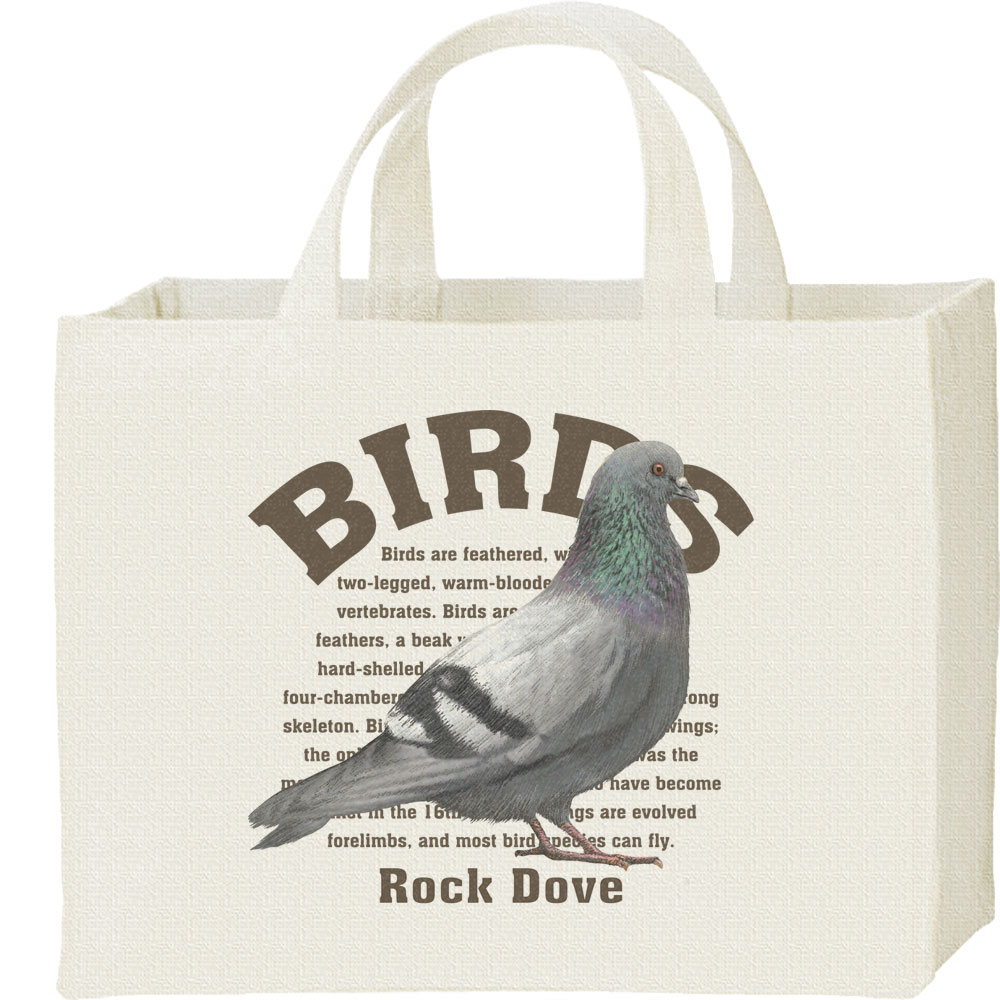 鳥類のシリーズです。カワラバト、ドバト　