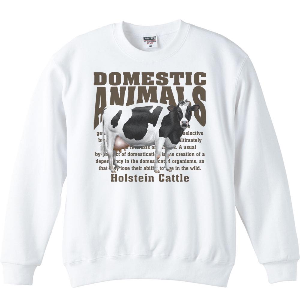 乳牛（ホルスタイン）飼育動物・家畜／トレーナー