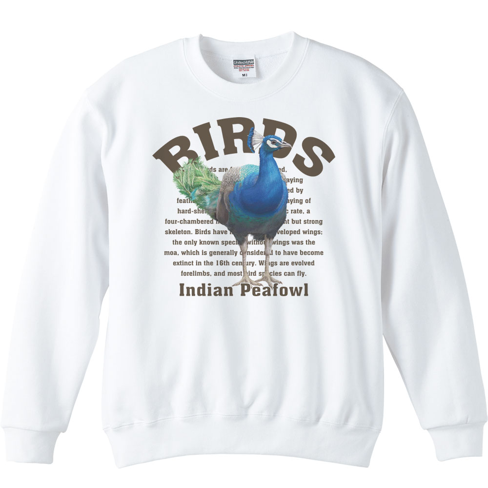 インド クジャク（鳥シリーズ）／トレーナー