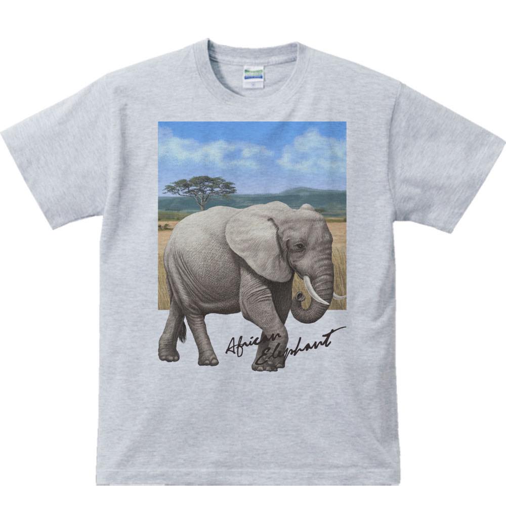 아프리카 코끼리 + 배경 / 반팔 T 셔츠