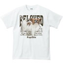 パピヨン（愛犬シリーズ）／半袖Tシャツ