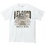 シベリアン・ハスキー(愛犬シリーズ)/半袖Tシャツ 2,420円