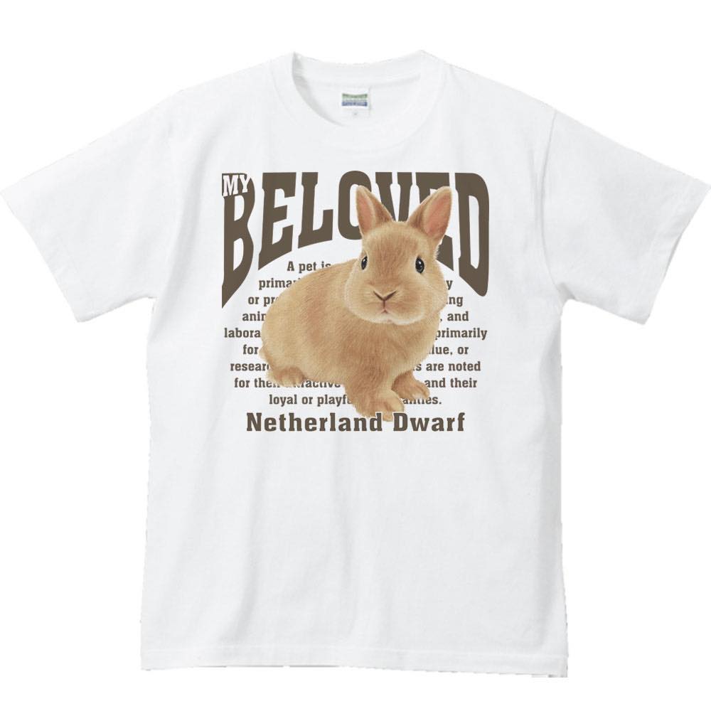 ネザーランド ドワーフ(兔)ペット シリーズ/...の紹介画像2