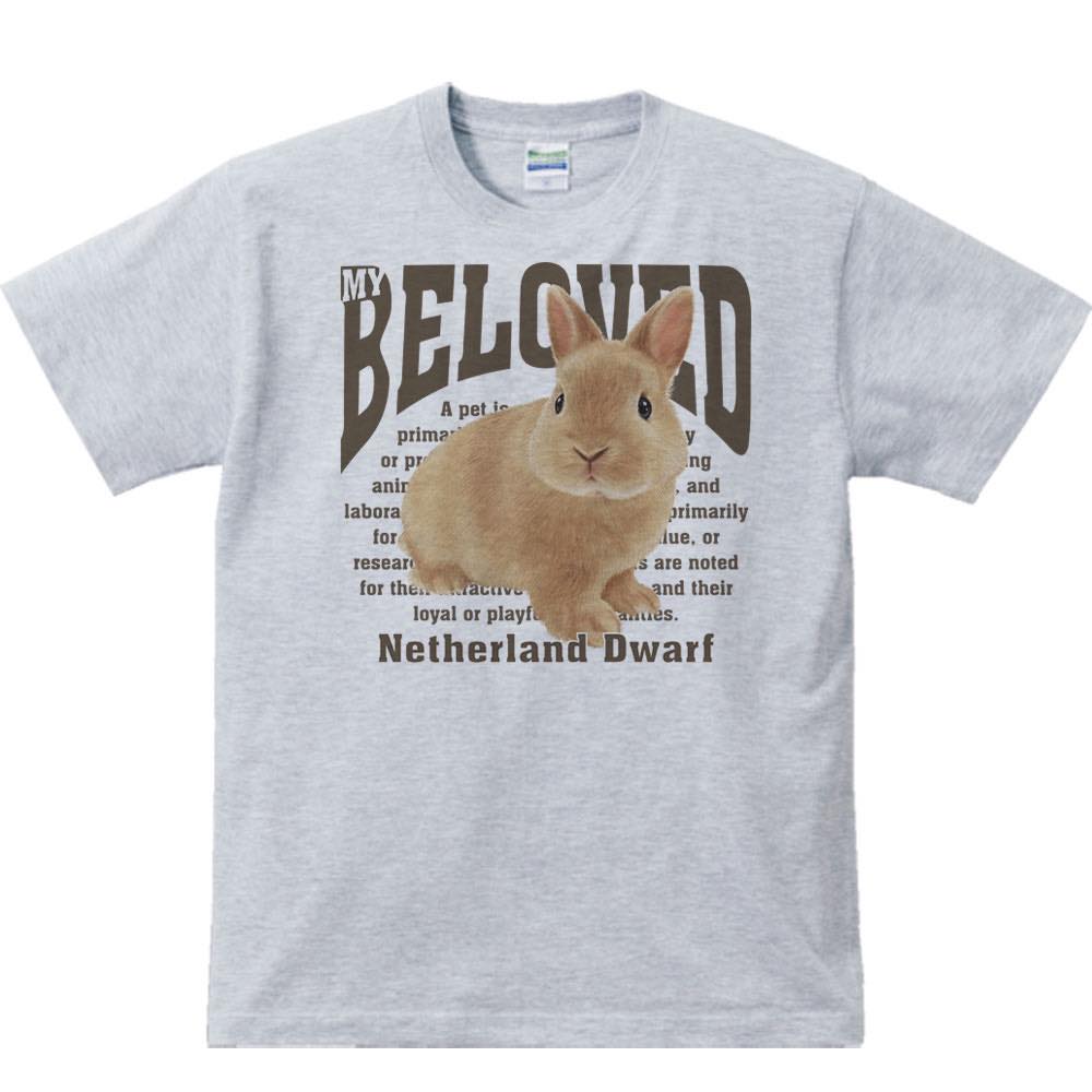 ネザーランド ドワーフ(兔)ペット シリーズ/...の紹介画像3