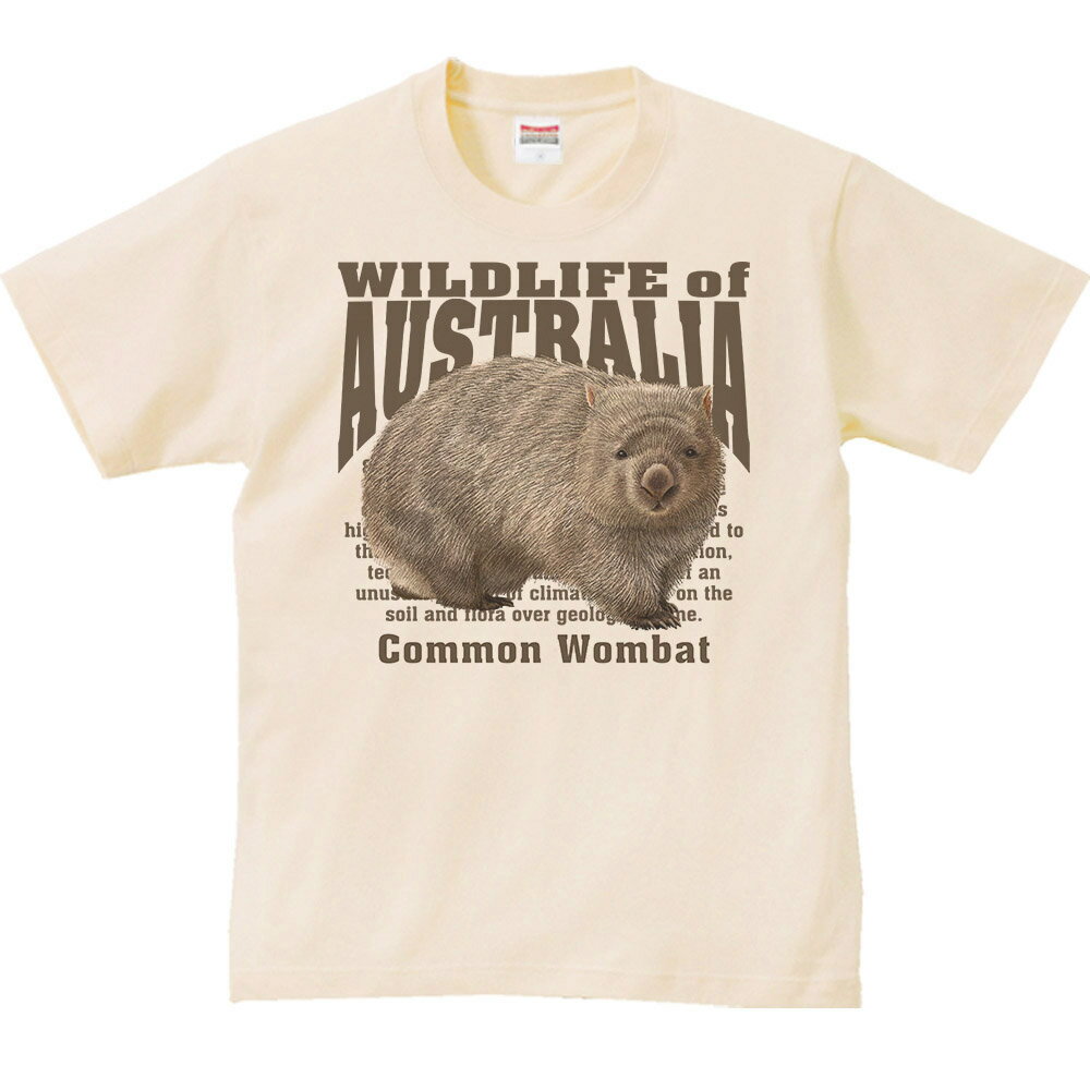 ヒメ ウォンバット（オーストラリアの生物）／半袖Tシャツ