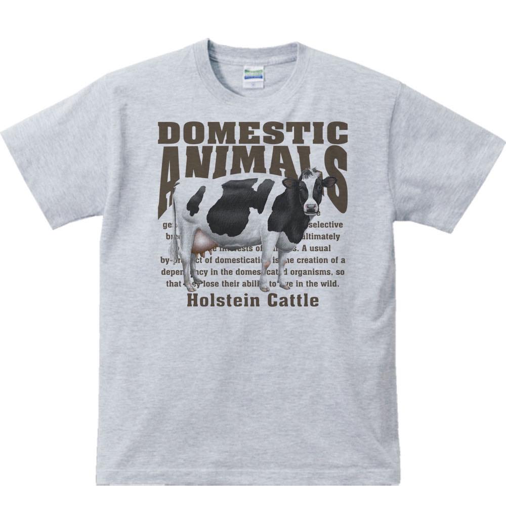 �����ʥۥ륹������˻���ưʪ�����ܡ�ȾµT�����