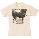 ロットワイラー（愛犬シリーズ）／半袖Tシャツ