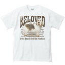 プチ バセット グリフォン バンデーン（愛犬シリーズ）／半袖Tシャツ