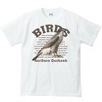 大鷹（オオタカ）鳥シリーズ／半袖Tシャツ