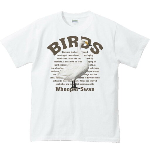 白鳥(ハクチョウ)鳥シリーズ/半袖Tシャツ 白鳥(ハクチョウ)鳥シリーズ/半袖Tシャツ