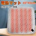 ホットマット 椅子 ミニマット 一人用 45×45cm 洗える 電熱マット 3段階温度切替 足元暖房 足温器 ホットカーペット ヒーターマット USB式 フラン...