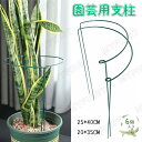 6本セット 植物支柱 花ささえ 園芸支柱 植物サポート 支柱 半円形 園芸用品 背の高い花 観葉支柱 農業用 花ささえ 園芸支柱 観葉植物 つる性植物 観葉支柱...