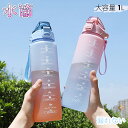 水筒 1リットル おしゃれ 大容量 1L 漏れない プラスチック 子ども 軽い アウトドア スポーツ 洗いやすい 直飲み おしゃれ 軽量 ジム ヨガ 水 ウォーターボトル かわいい 女の子 おしゃれ 女子 子供 キッズ 可愛い 大人 軽量