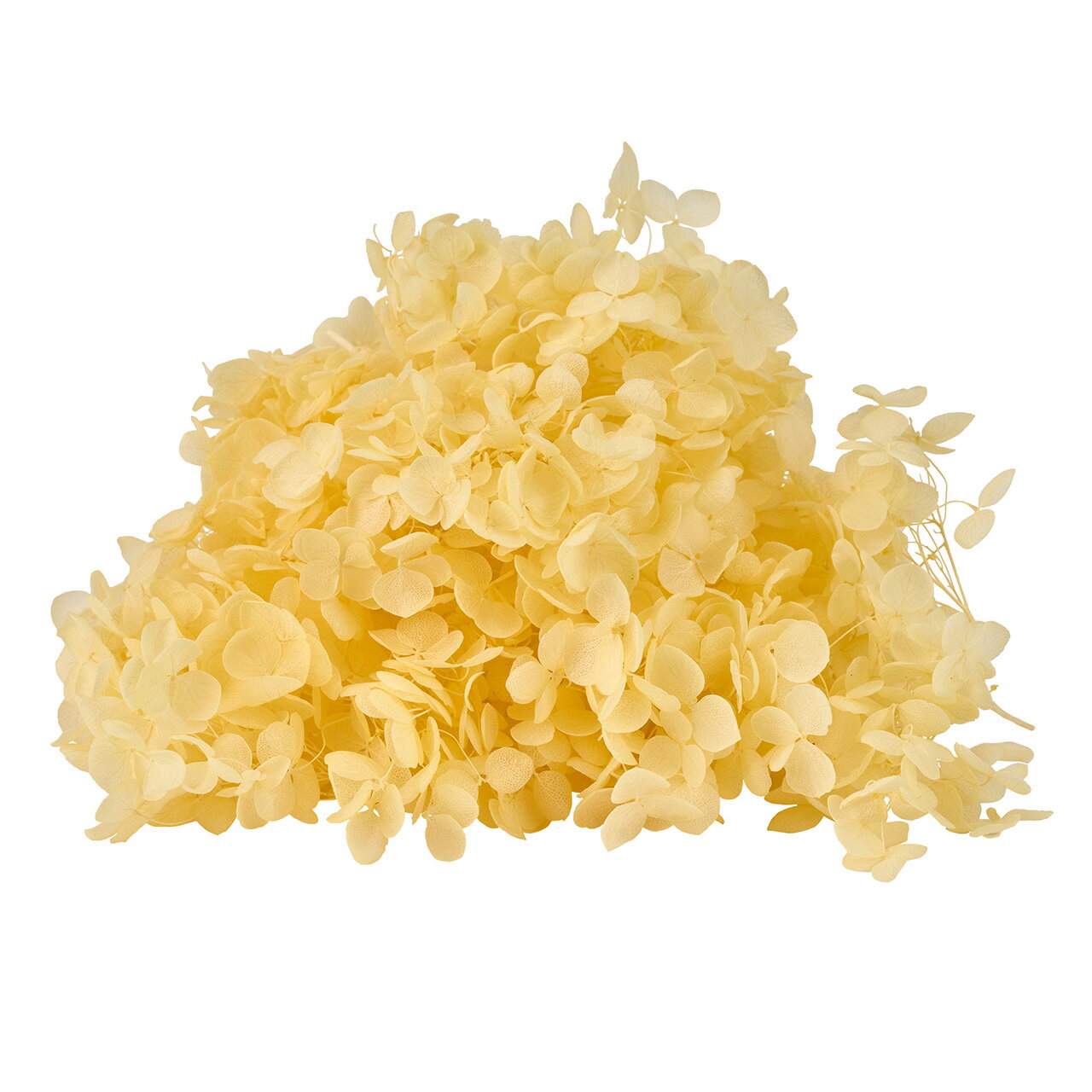 ソフトあじさいアナベルレモンクリー...