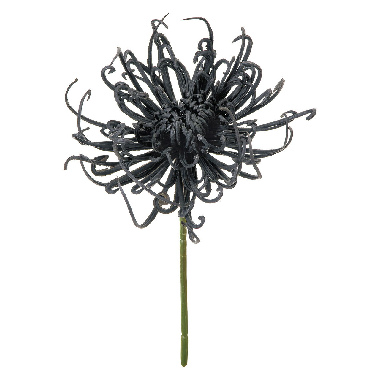 【東京堂 公式】MAGIQ 造花 アーティフィシャルフラワー かれん糸菊ピック ブラック #20 BLACK FM002650-020