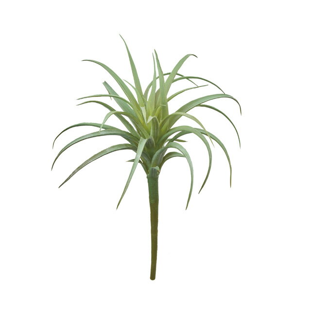 【公式】東京堂 MAGIQ 造花 花材 ソニアティランジアM グリーン フェイクグリーン アーティフィシャルフラワー エアプランツ FG302509-024【高品質 アートフラワー】