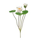 【公式】東京堂 MAGIQ 造花 花材 スイレンブッシュ クリームピンク アーティフィシャルフラワー ウォーターリリー 睡蓮 FM000839-046【高品質 アートフラワー】