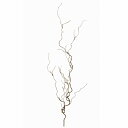 【公式】東京堂 MAGIQ 造花 花材 ローリング ツイッグ ブラウン アーティフィシャルフラワー 枝 FG002239-008 【高品質 アートフラワー】