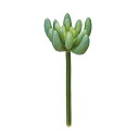 【東京堂 公式】プティセダムピック アーティフィシャルグリーン 造花 4本入 多肉植物 FG301043-024 ReCO サステナブル 【アートフラワー】