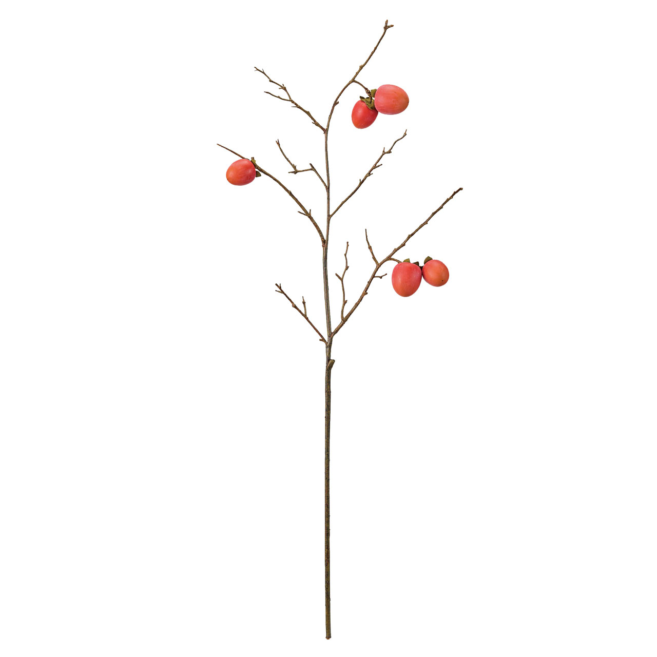 東京堂オリジナルブランド 【MAGIQ】 今までの造花にはないリアルな品質のアーティフィシャルフラワーをお届けします。オレンジの江戸の柿枝　アーティフィシャルフラワー　造花。小ぶりな実が5つ付いた、季節のディスプレイに使いやすいサイズ感。枝がしなるので自然な表情で飾っていただけます。サイズ：長さ 約92cm、実の長さ 約4.5〜5.5cm素材 : 発泡スチロール内容量 : 1本色相：オレンジ