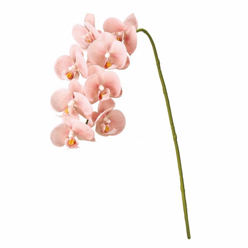 東京堂オリジナルブランド 【MAGIQ】 今までの造花にはないリアルな品質のアーティフィシャルフラワーをお届けします。ピーチピンクのミニョンヌファレノ　アーティフィシャルフラワー　造花。花径約6cmほどの花が8輪付いたファレノのアーティフィシャルフラワーです。優しいピーチピンクカラーはアレンジメントやブーケのラインだしに。【商品詳細】サイズ：花径6×長さ 約58cm素材 : ポリエステル内容量 : 1本色相：ピンク【ご注意】・ご使用のモニターにより、色味が異なって見える場合があります。・参考画像の家具や飾りなどは付属いたしません。