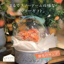 【母の日 P5倍&300円クーポン】【東京堂 公式】マイフラオリジナル バルーンフラワー 花咲くバルーンスノードーム サンゴ ギフトアレンジメント ソラフラワー...