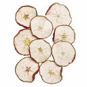アップルスライス レッド ドライフラワー DE018907 フルーツ りんご