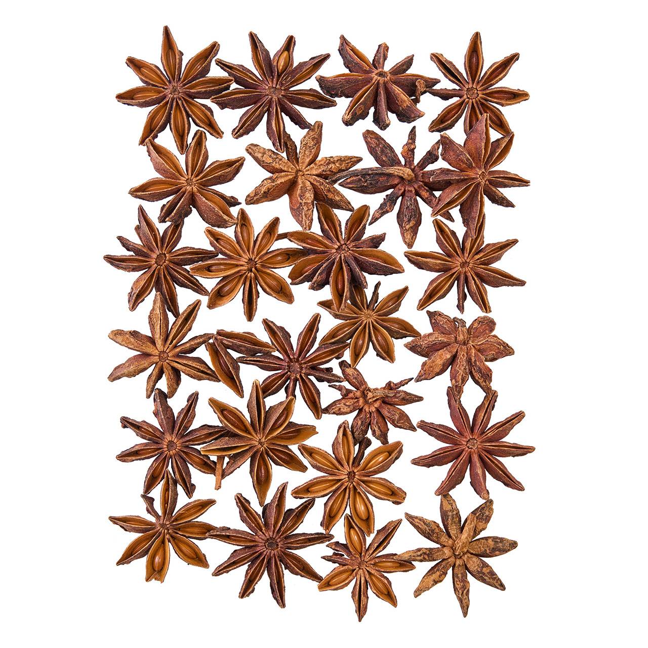 【東京堂 公式】大地農園 スターアニス ドライフラワー ナチュラル 実もの DO021020-000 【ドライフラ..