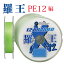 PE饤 岦 餪 12 12X  PE 100m~1000m 0.8 1 1.2 1.5 2.0 2.5 3 4 5 6 8 10 Х   ʪ  Х ƥåץ ޤ GT 12Ԥ 12ǲ 12ȥ