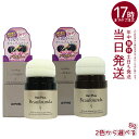 ヘアプラス ビューファンデ パウダー 8g (ダークブラウン/ナチュラルブラック)(ヘアプラス 女性用 薄毛 隠し 白髪 隠し 白髪 かくし ヘアファンデーショ...