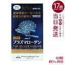 高純度プラズマローゲン (60粒入)(約1ヶ月分) 機能性表示食品 賞味期限2026.02 プラズマローゲン DHA EPA 健康サプリ 記憶力 認知機能 機能性表示食品 サプリメント 健康維持 男性 女性