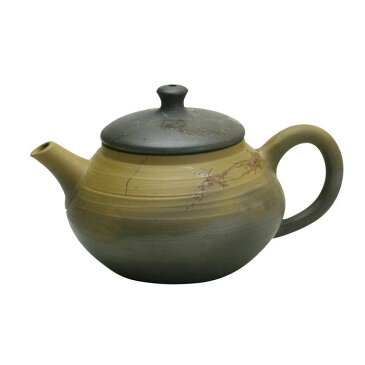 常滑焼急須【ジパング・常滑/陶製茶こし】白山緑泥珠型藻掛窯変後手茶注